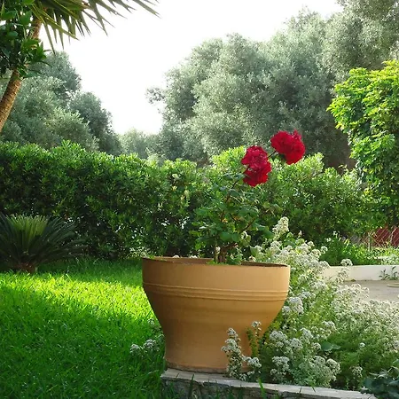 Apartament Anemoni